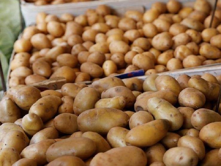 مع استمرار تصديرها.. نقيب الفلاحين يتوقع انخفاض أسعار البطاطس في هذا الموعد  